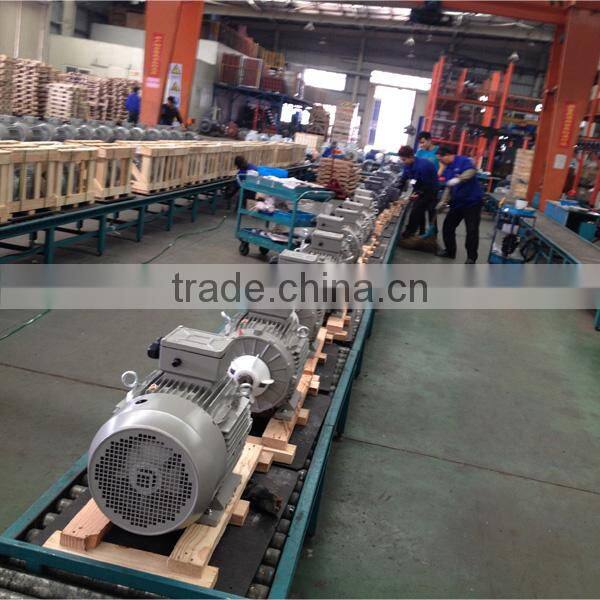 IEC Standard Small 3 Phase Electric Motor