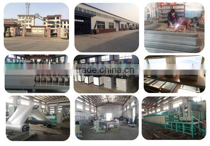 Performance PE Foam Fruit Net Making machine