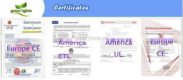 600 watt 600w Dimmable HPS MH Grow Light System Set Kit