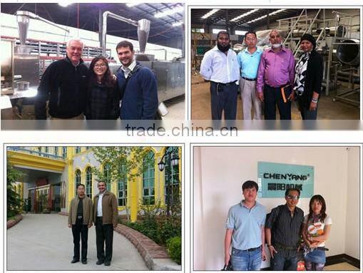 CY automatic core filling snack food bulking machine with CE,skype:li.sara9