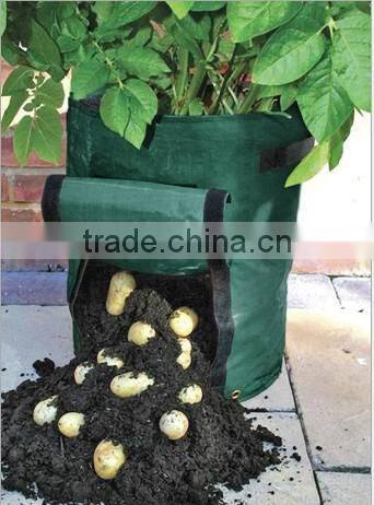 Eco friendly plastic flower pot