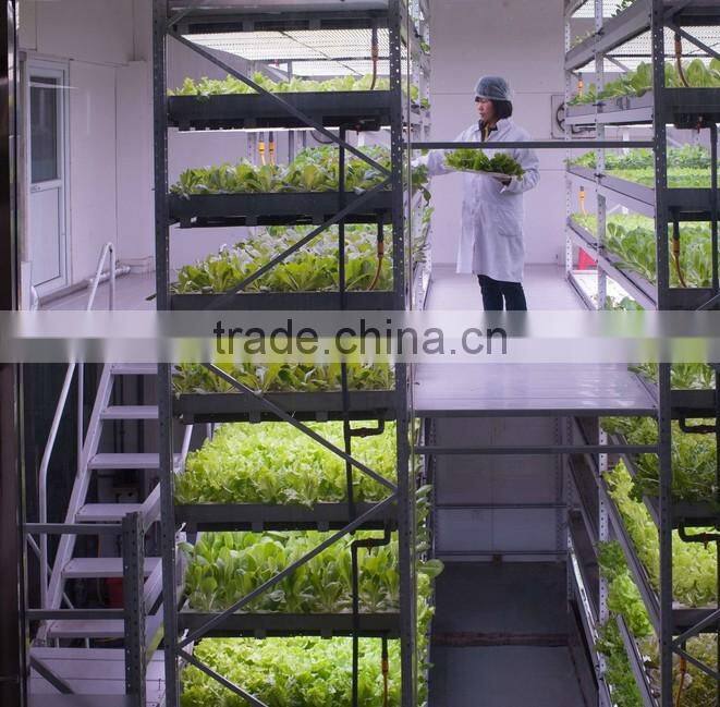 5cm PP Plastic Mesh Cups Aquaponic system Black net Planting pots