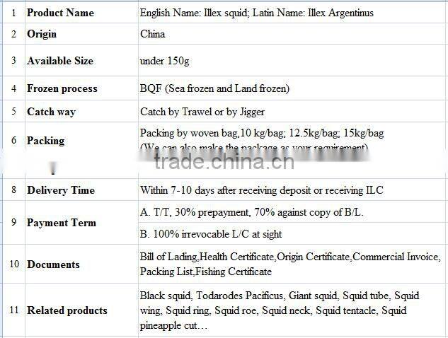 Frozen Whole Round Squid