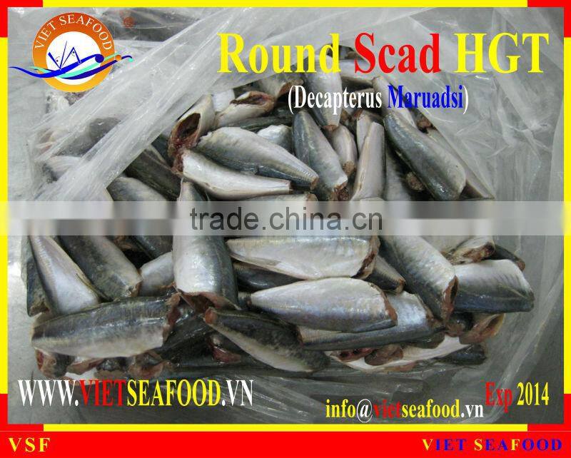FROZEN HGT ROUND SCAD