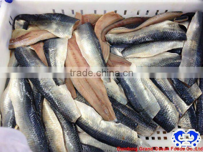 dried herring fillet seafood