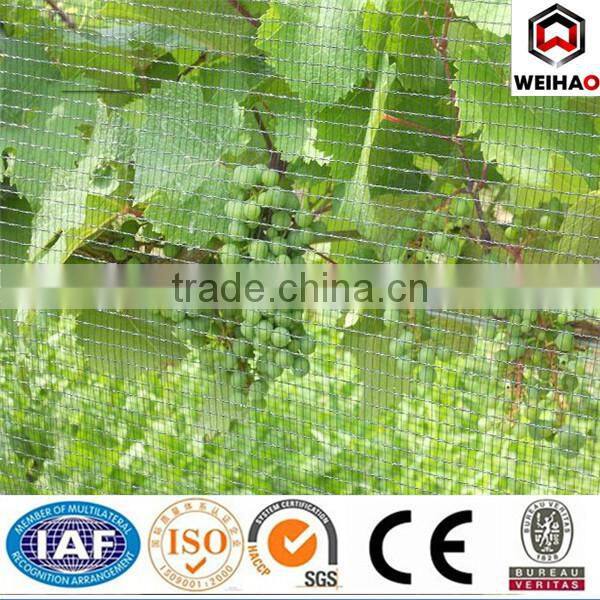 Factory Anti-bird mesh/plastic net