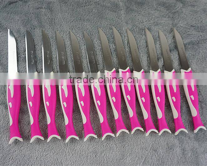 51010 12PCS STAINLESS STEEL fruit Knife Set