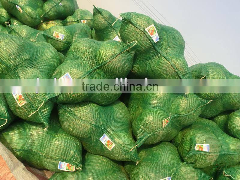 Plastic cabbage net bags green linned mesh bags packing cabbages hot sales