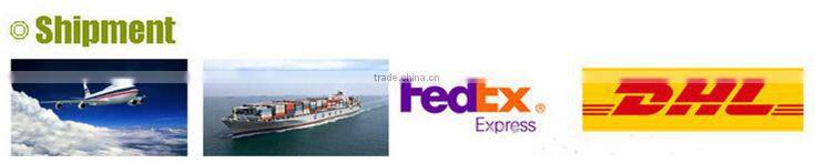 New Design Wholesale Cheap Price Quality Tee Shirt Organic Cotton T Shirt