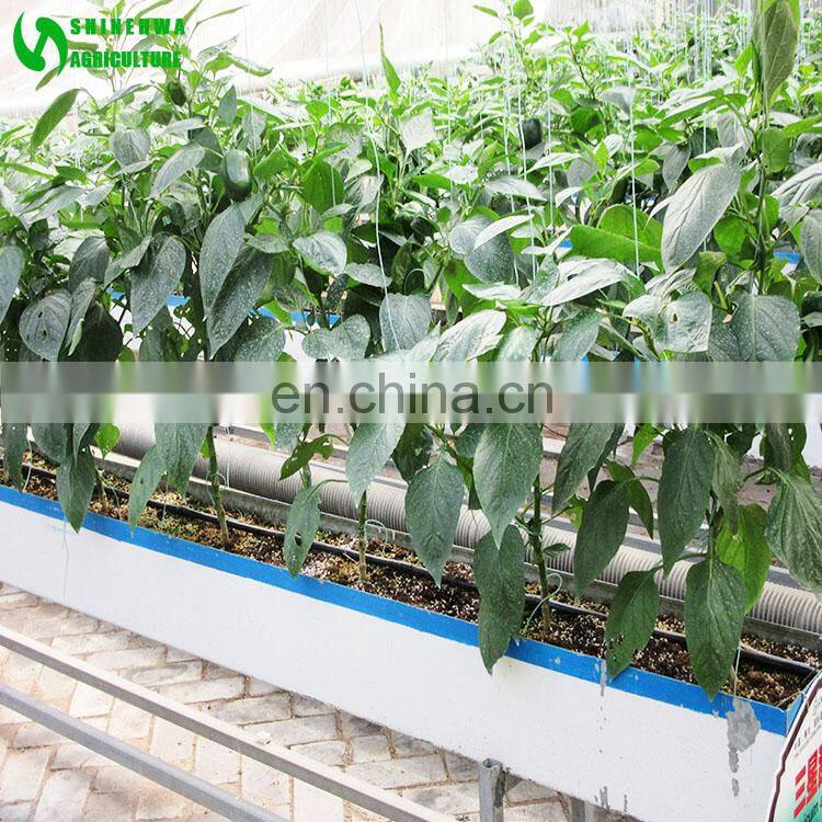 Eggplant Hydroponics and Coconut Cultivation Equipment/Hydroponics Growing Systems