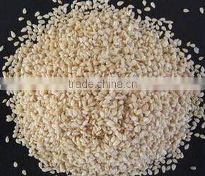 Sesame roasting machine|Sesame frying machine|Black sesame roasting machine|Sesame roaster