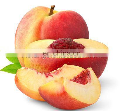 10%off hot sale fruit vegetable crusher machine