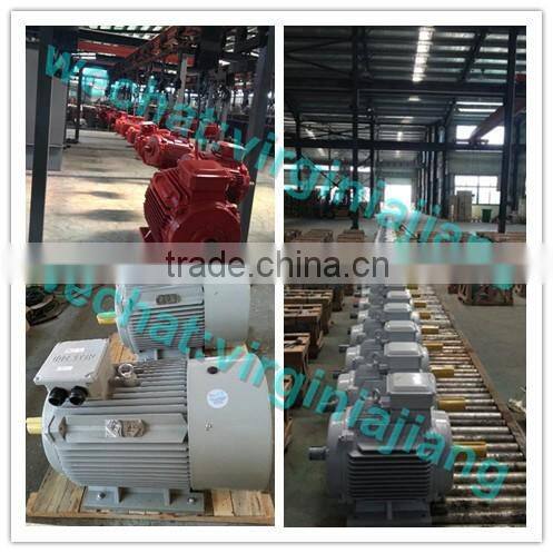 YC 0.5hp single phase 2850rpm electrical motor