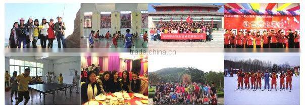 Motor Parts Reasonable ISO Custom Bronze Car Aluminum Pressure Die Casting Part