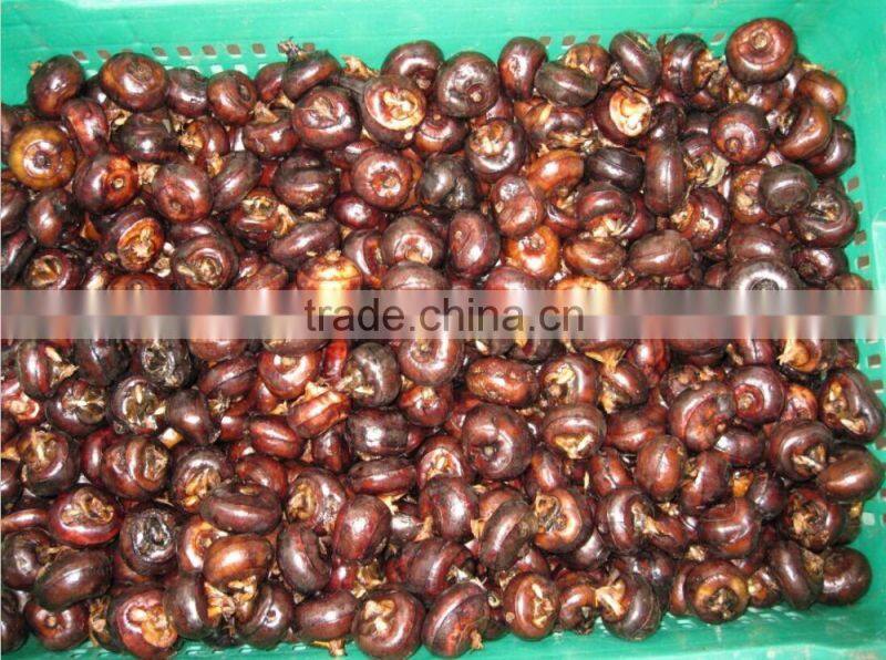 2015 Chinese fresh water chestnut wholesale