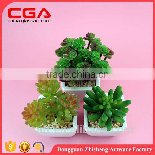 Artificial Artificial succulent plants tropical plants Plastic emulation succulent plant