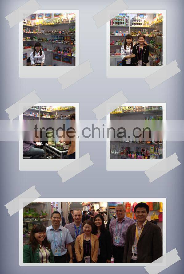 Garden Decoration indoor plant pots mini planters buy flower online