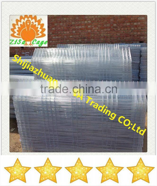 120 birds poultry cage for battery layer chicken farms