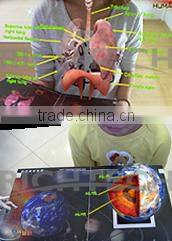children commercial indoor playground equipment