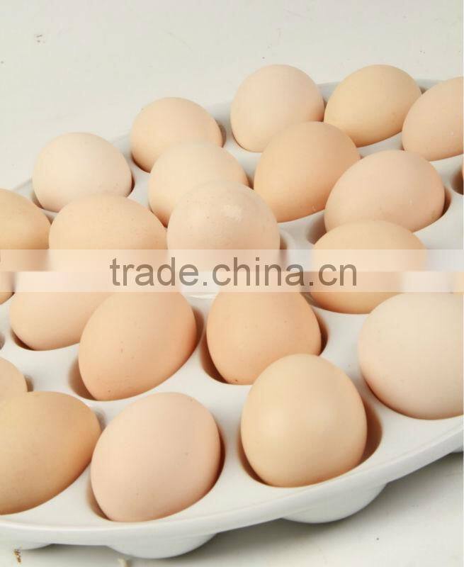 Durable Porcelain Egg Plate