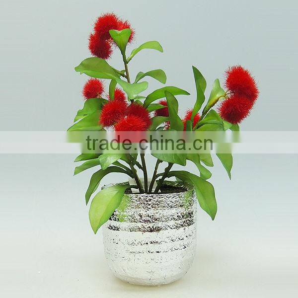High quality cement potted plant for home decorating