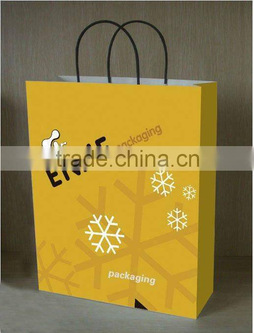 2013 New Luxury Paper Shopping Bag