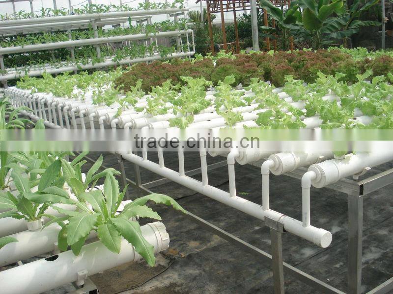 hydroponic NFT growing system greenhouse