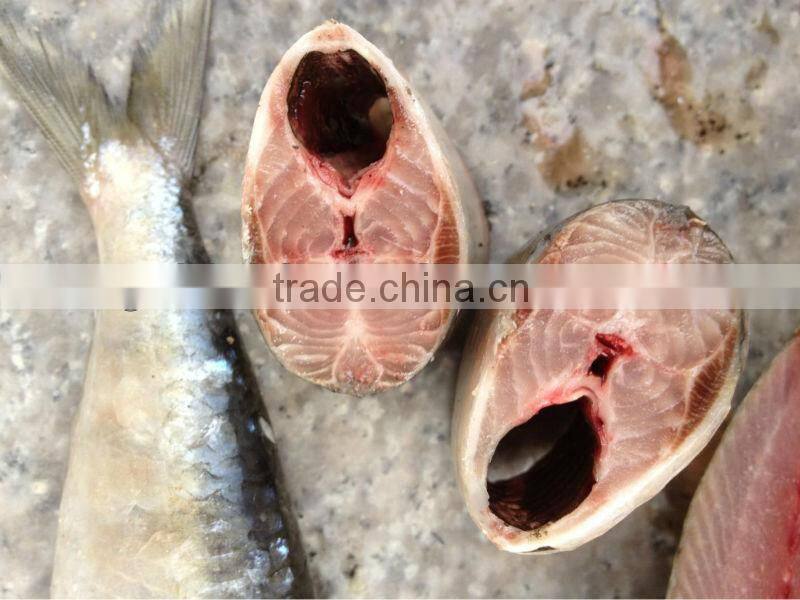 For bait fish whole round frozen sardines 8-10pcs/kg
