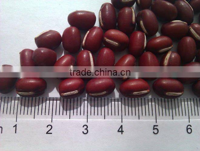 Adzuki Bean( Heilongjiang origin,2011 crop,hps)