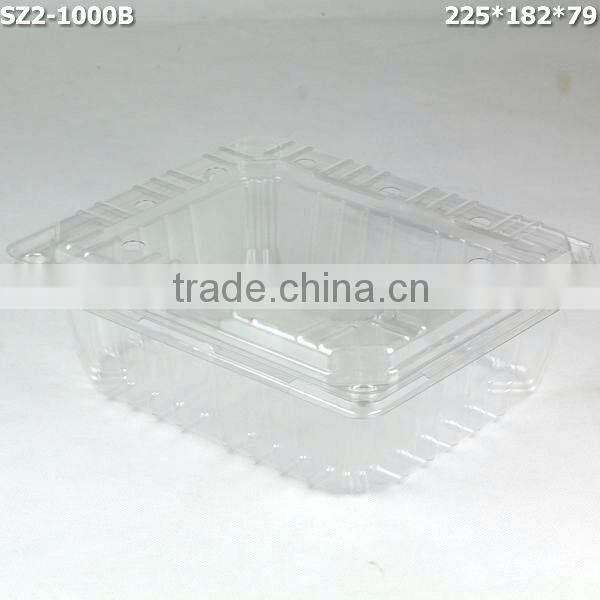 1000g Cherry disposable Plastic Fruit Container Supplier