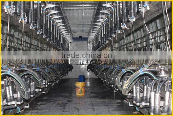 Milk delivery line, automatic milking parlor