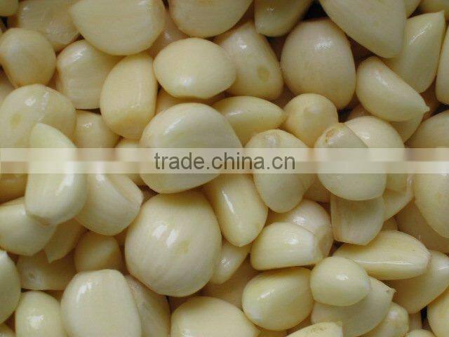 2016 Hot Sale! VSN3000-L600G Monochrome Peeled Garlic Belt Color Sorter With Blue Light