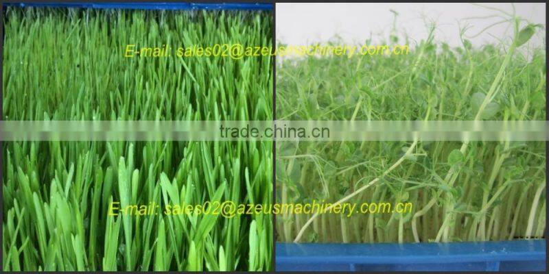 Automatic hydroponic barley fodder growing Machine for animal,livestock,cattle,sheep