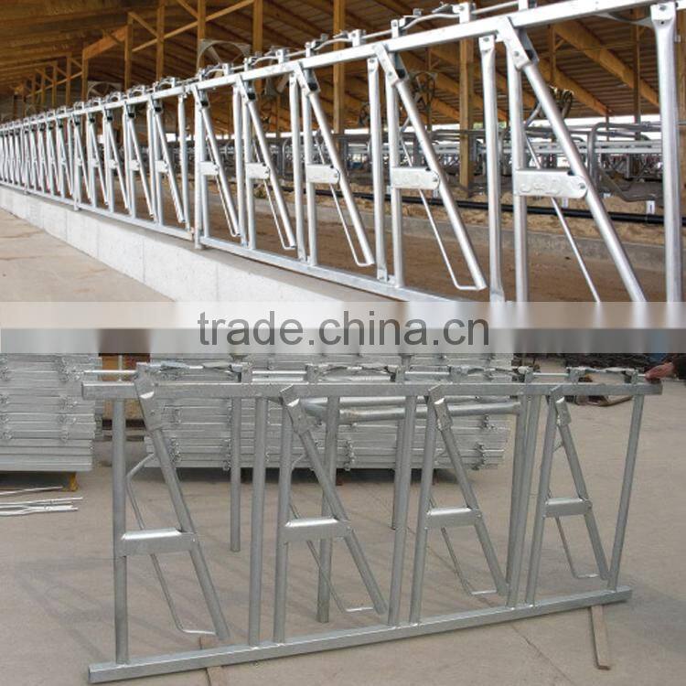 Farm livestock equipment for cow loops cow cubicle