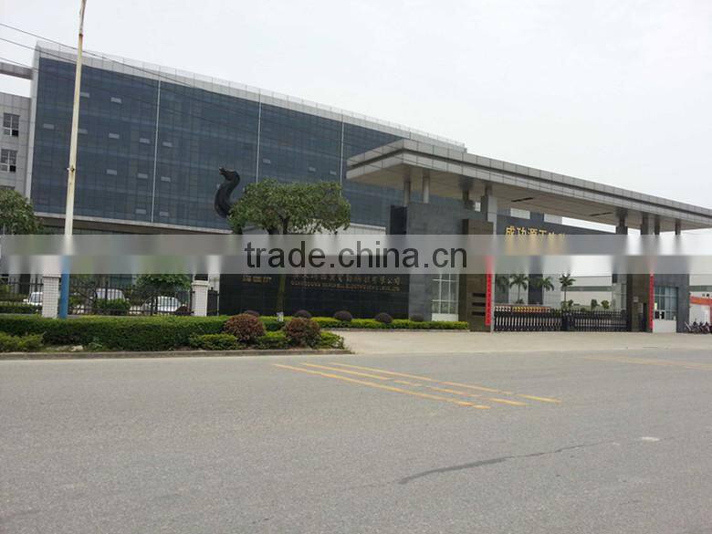 10 inch lead batteries scooter ,two wheel balance folding scooter