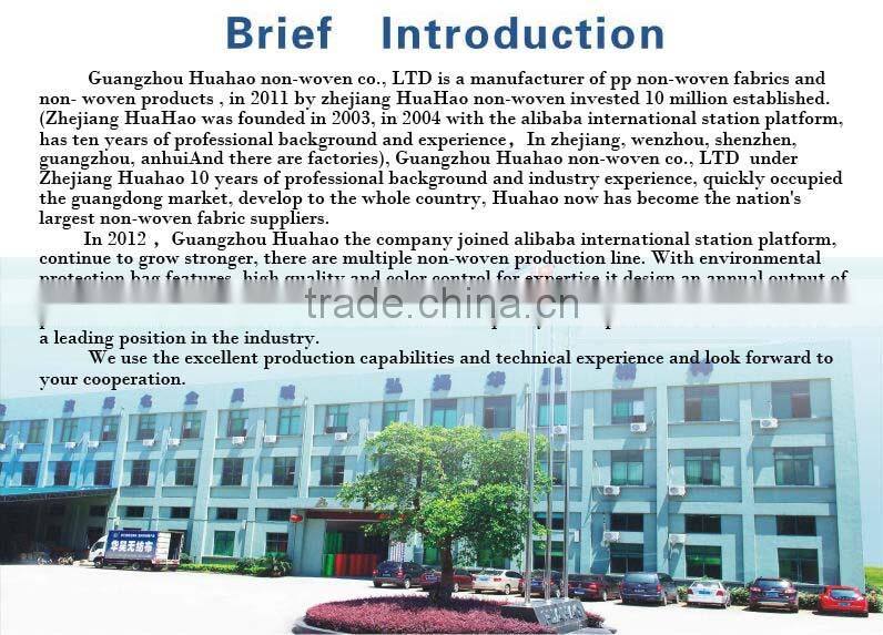 Full Colors Fabric Bag,Store Handbag,New Design Nonwoven Bag