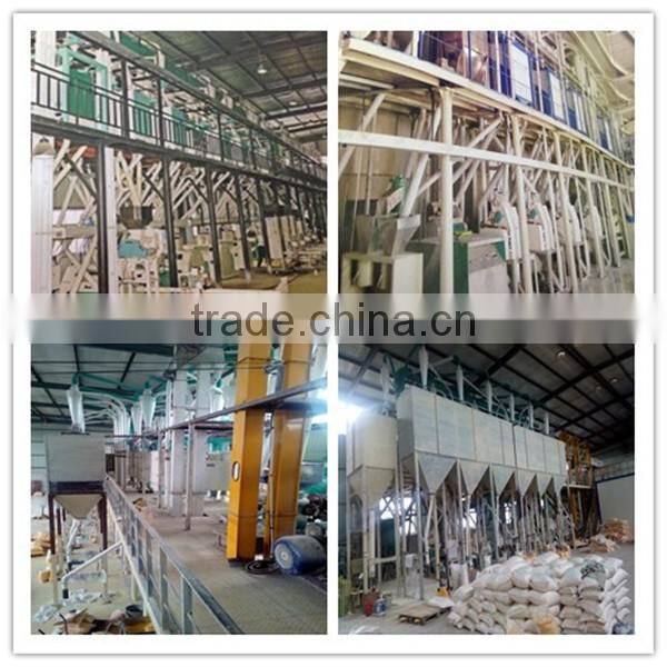 Industrial and home use maize processing machinery price