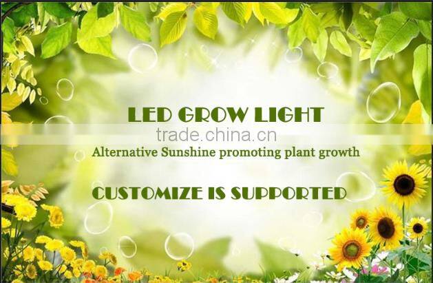 Save 30% high quality 5w chip kits 240w full spectrum led grow light