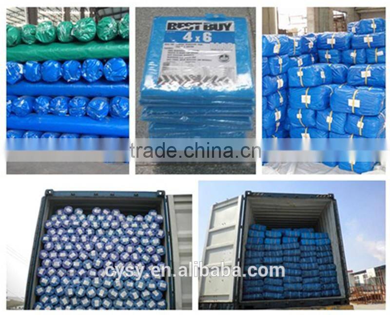 high quality china plastic pe tarpaulin supplier