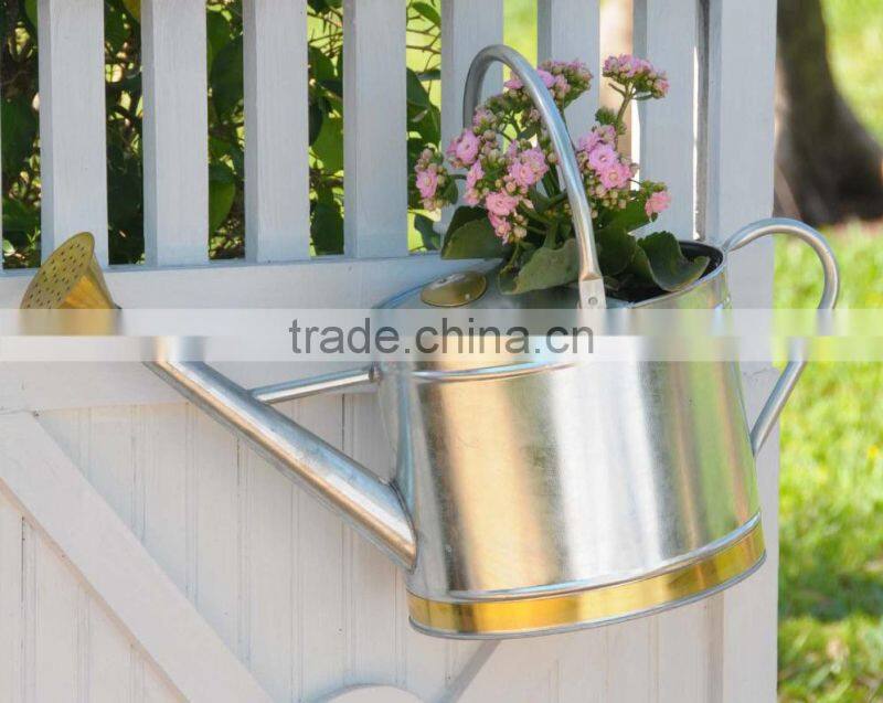 Blue color indoor watering can