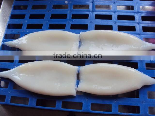 Frozen squid tube
