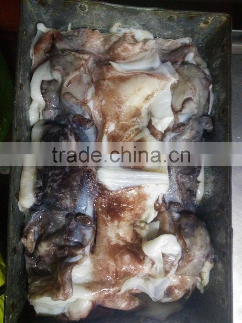 Frozen Giant Squid Neck