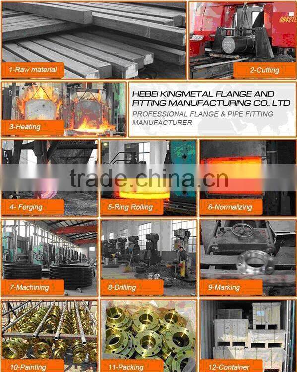 DIN EN 1092-1 Carbon Steel WN Flange