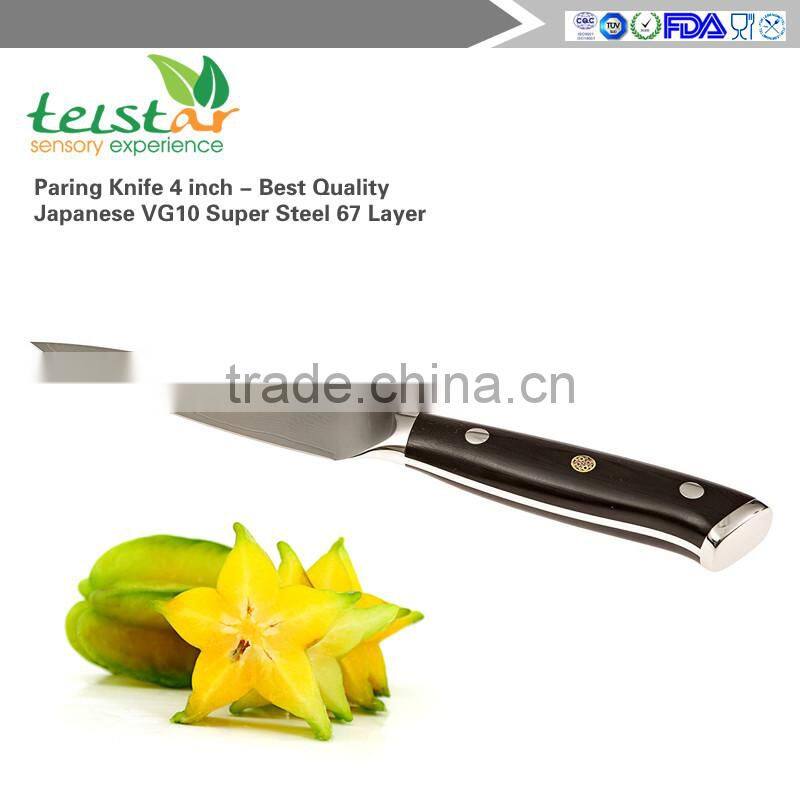 Paring Knife 4 inch - Best Quality Japanese VG10 Super Steel 67 Layer High