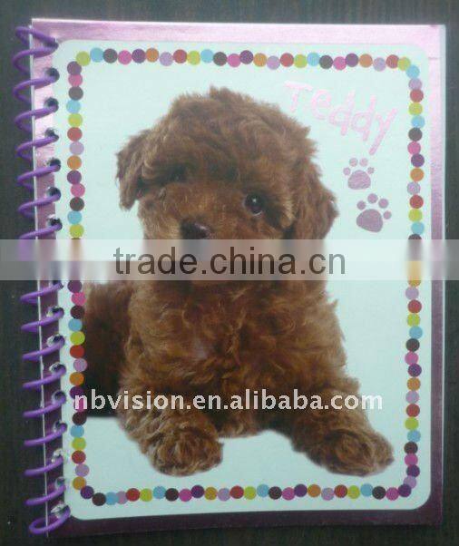 hardcover notebook/organizer agenda/gift