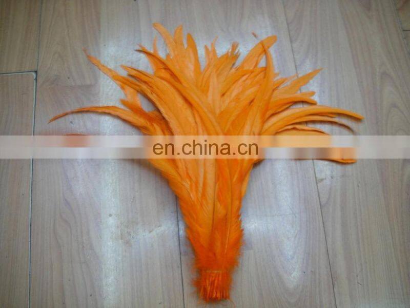 Wholesale factory price 30-40cm rooster tail feathers