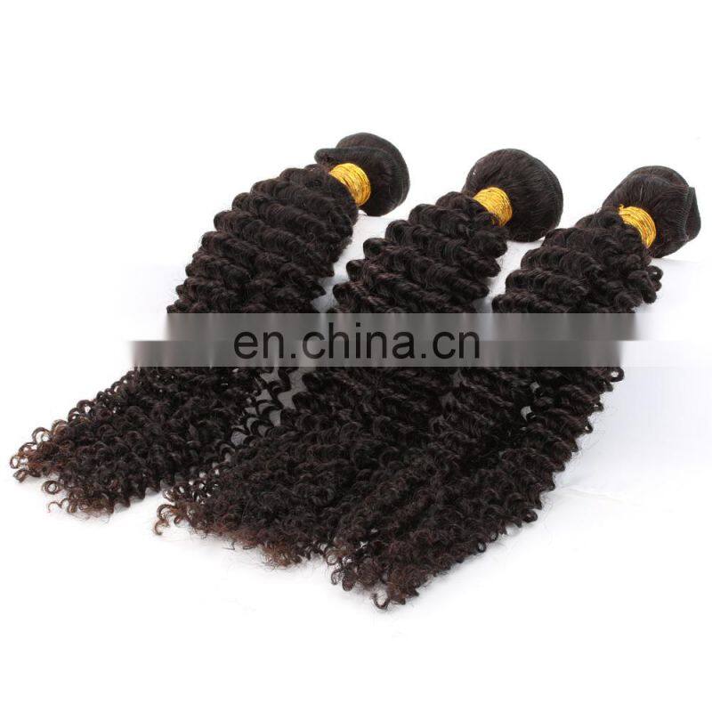 Best Selling Virgin Mongolian Kinky Curly Hair human hair bundles with closure