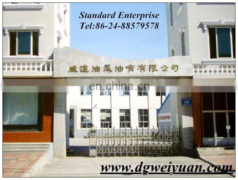 large-need diesel engine nozzle DN0PDN112/DNOPDN112 made in China