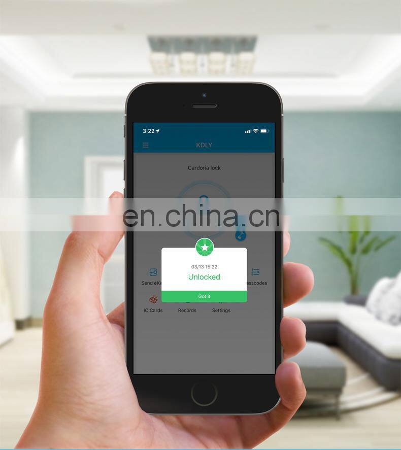 Top ranking product Keyless Entry Door Lock Smart tt Door Lock Passcode Wifi Card Key For Office Home Apartment