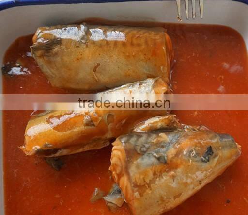 Good taste canned mackerel in tomato sauce high quality